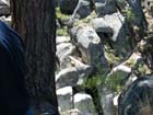 Stanislaus river15