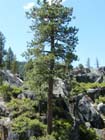 Stanislaus river22