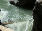 Stanislaus river5