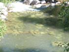 Stream at Dardanelle2