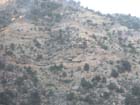 Western Colorado- Eastern Utah10