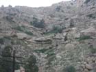 Western Colorado11