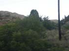 Western Colorado8