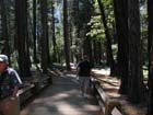 Yosemite falls 3