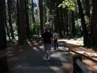 Yosemite falls 4