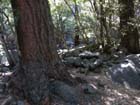 Yosemite falls6