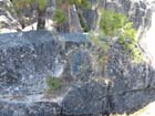 at Stanislaus river