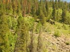 colorado front range still4