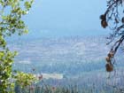 fire damage at Yosemite