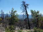 fire damage, Yosemite